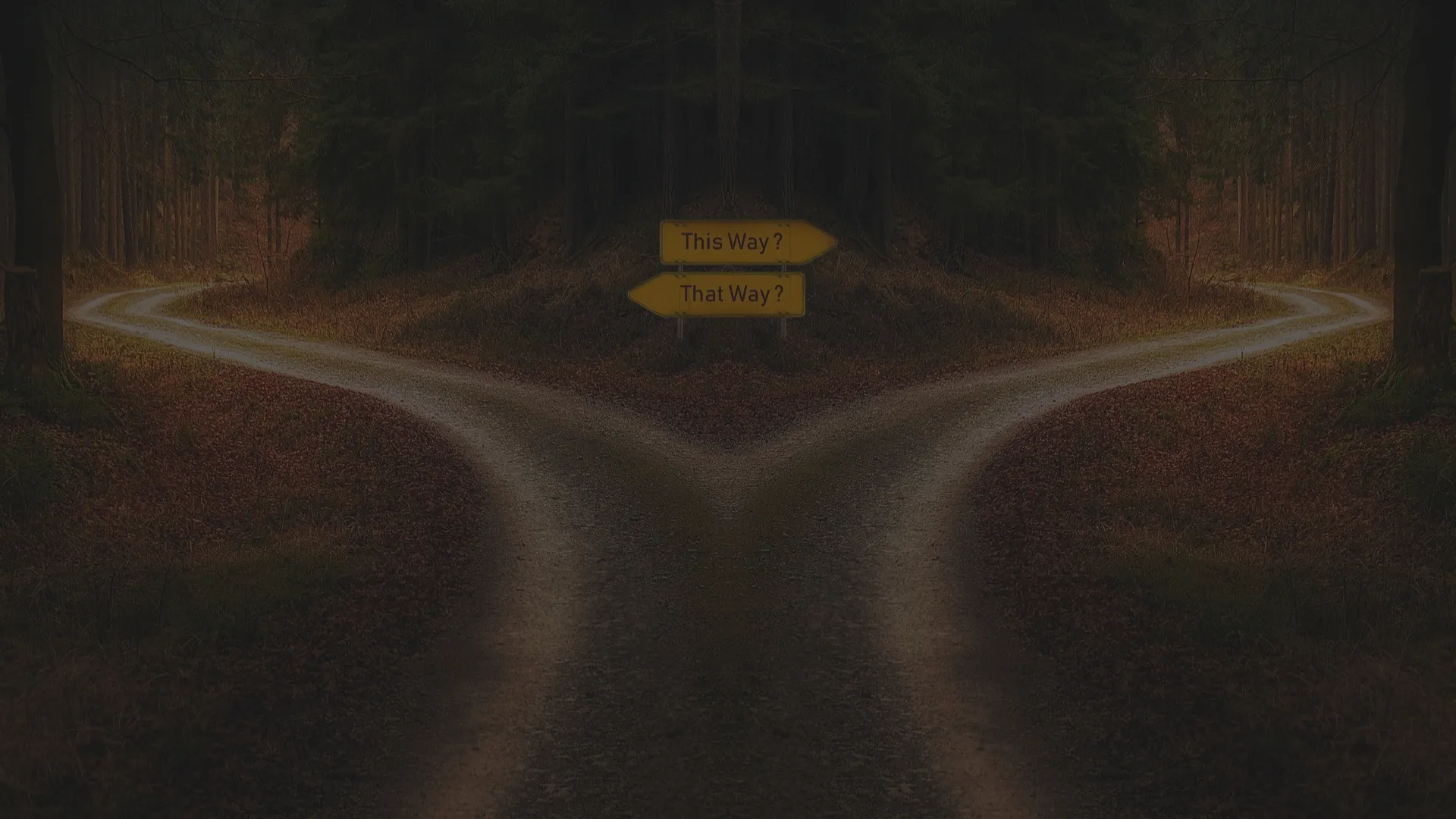 Deux chemins possibles illustrant la notion de choix dans l'écriture interactive.