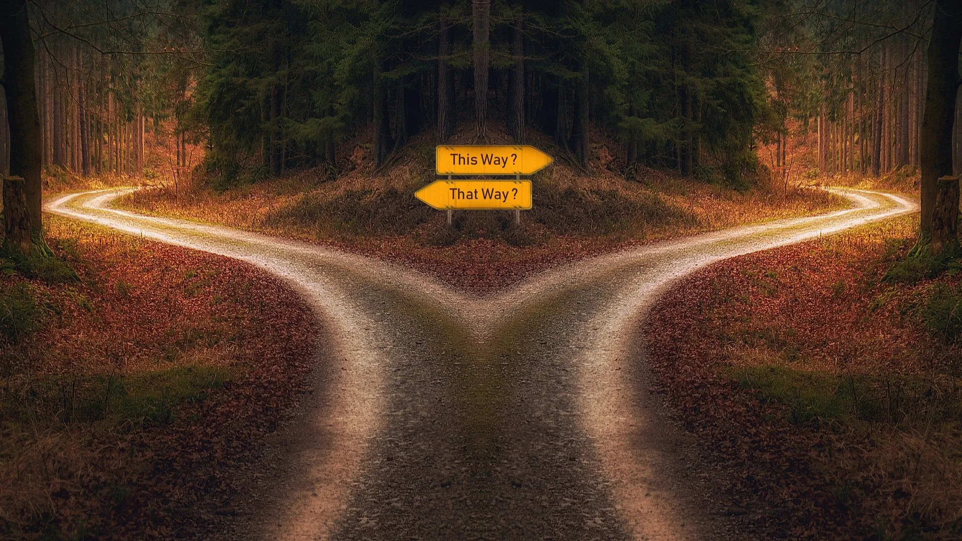 Deux chemins possibles illustrant la notion de choix dans l'écriture interactive.