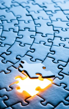 puzzle-piece-manquante